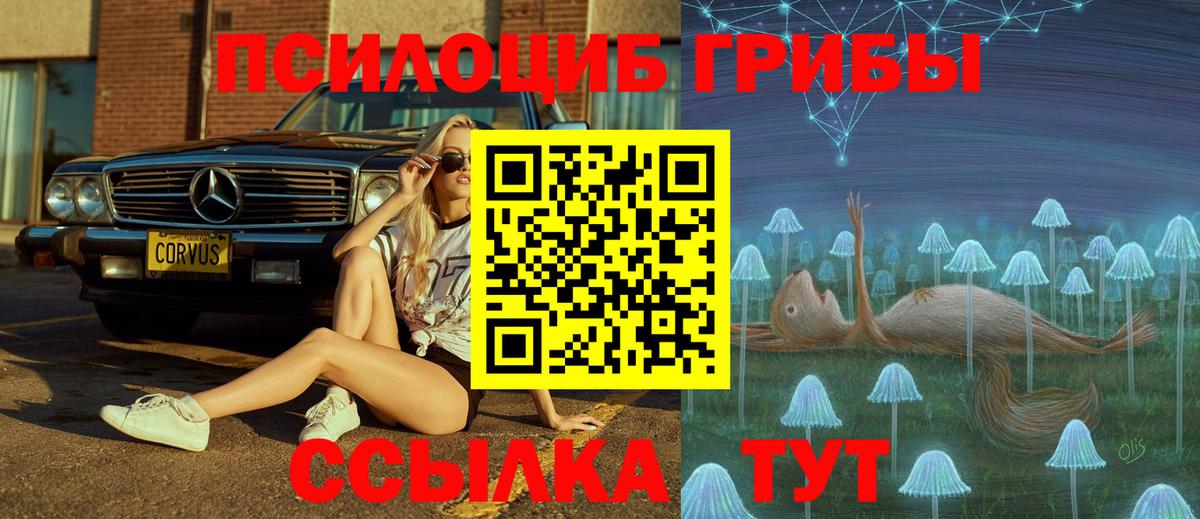 Галлюциногенные грибы прущие грибы Волжский