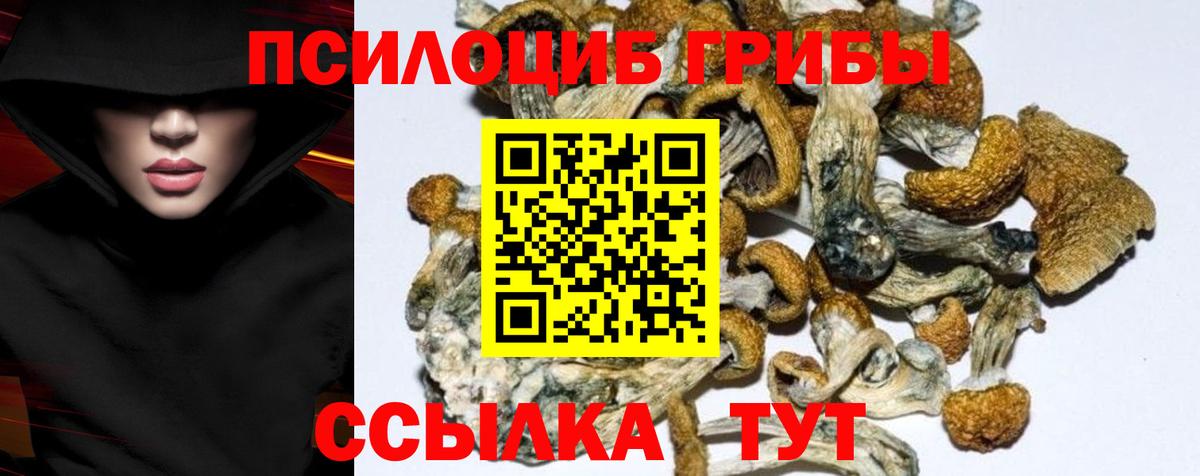 Волжский  Псилоцибиновые грибы MAGIC MUSHROOMS  Вход с VPN 